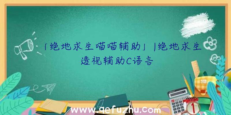 「绝地求生喵喵辅助」|绝地求生透视辅助C语言